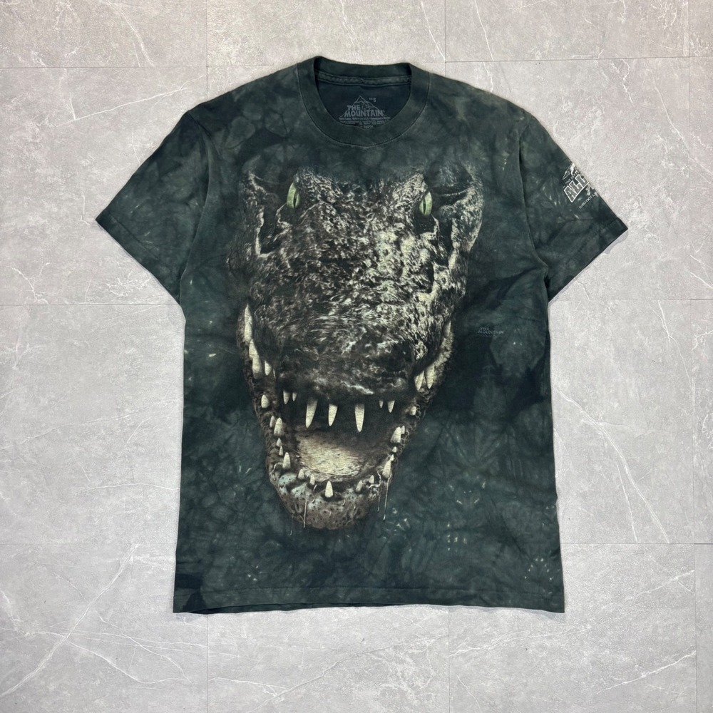 The mountain vintage dinosaur shirt